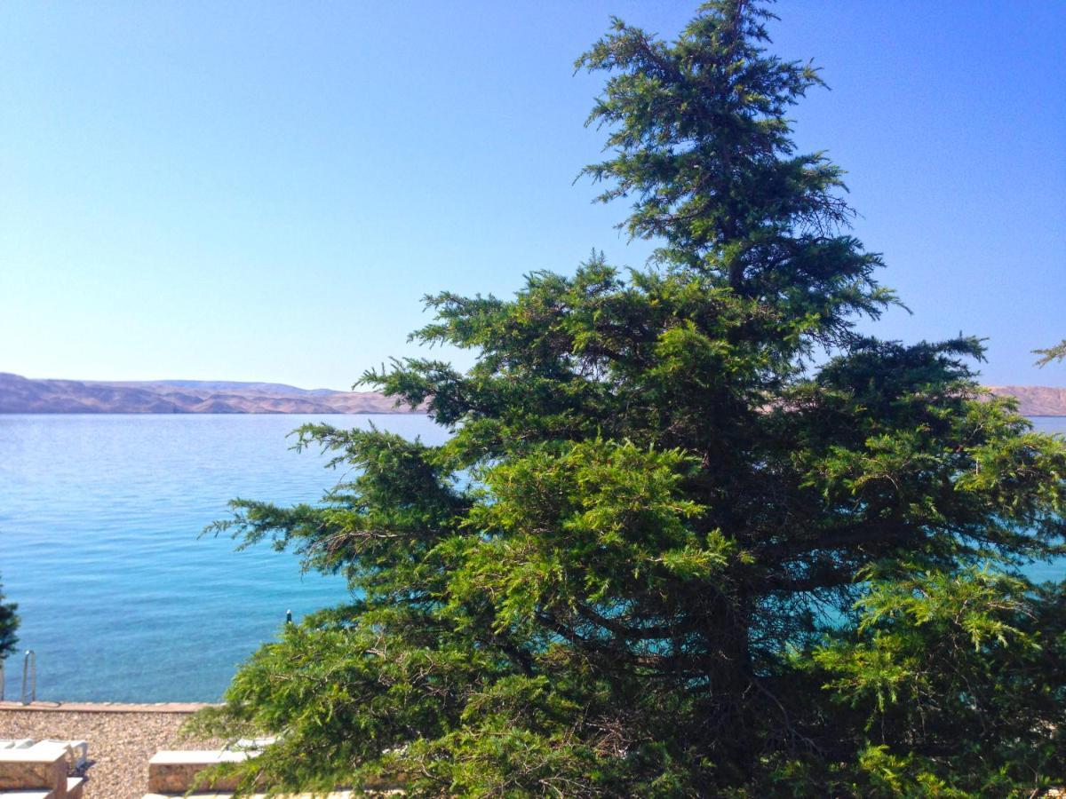 Apartmani Ribarica**** Karlobag Bagian luar foto